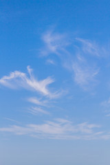 White feathery clouds on the blue sky in summer