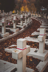 Polish military memorial gravestones on the Lychakiv Cemetery. Memorial
