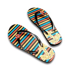 Flip-Flops