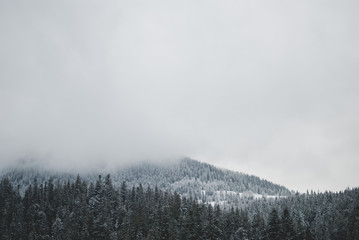 Beautiful mountains covered with clouds and dark winter forest  near Synevyr lake in Ukraine. Grey cloudy sky. Romantic, dreamy, and melancholic landscape