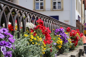 Fototapeta na wymiar Beautiful flowers in the city