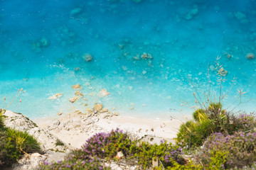 Aerial view of sandy wild beach with clear water. Flowering wild thyme at the edge of the cliff, beautiful beach background