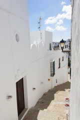 Stone pavement on traditional street from top with flower pots hanging from walls in Vejer white town, Cadiz. Tourist attraction, summer vacation, travel destination concepts