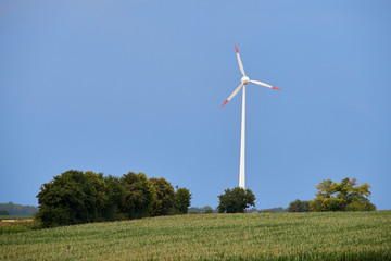 Wind power. Wind farm.