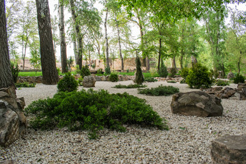 Various fragrant coniferous trees and bushes in a park of stones under the open sky. Shades of green and turquoise, light and dark. Needles and deciduous.