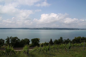 Ausblick auf den Bodensee