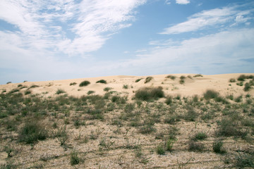 По бездородью