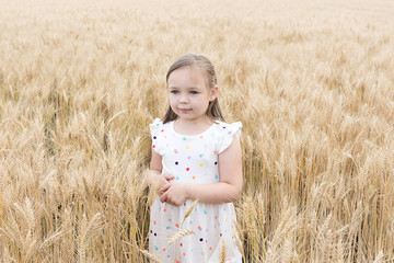 Enjoying the nature. Little girl stay in the golden wheat field