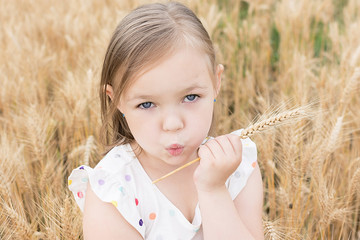 Portrait of girl holding a wheat in wheat field