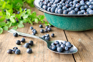 Fresh Bilberries from a bowl on old wooden table. Leaves with berries Bilberries on the Bush for background.Blueberries crumbled on the table