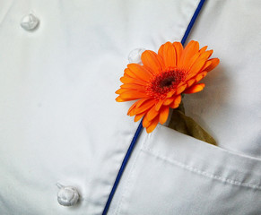 Orange flower gerbera in your pocket