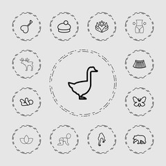 Collection of 13 beautiful outline icons