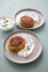 2 Teller mit vegetarischen Haferflocken Hüttenkäse Bratlinge und Kräuter Quark