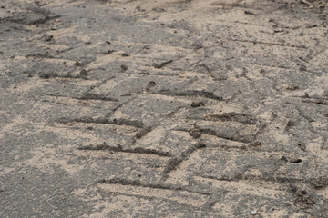 tyre track on mud
