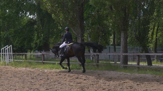 A young girl rider rides a horse riding in the saddle. the horse runs in a haphazard roundabout. Preparing for Dressage slow motion