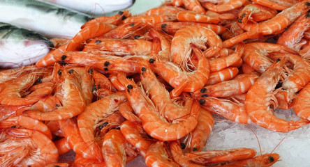 Shrimps fresh raw sea food on ice fish market