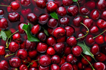 Background of freshly picked red cherries with leaves in water from above.