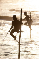 Stilt Fishermen fishing, Sri Lanka