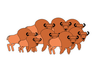 Bison herd. Aurochs flock. Wild Bull. Buffalo Vector illustration