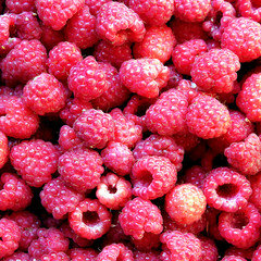 raspberry closeup texture for background