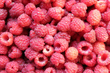 raspberry closeup texture for background
