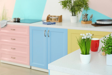 Obraz na płótnie Canvas Colorful modern kitchen interior
