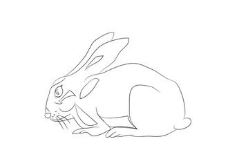 rabbits with lines, vector