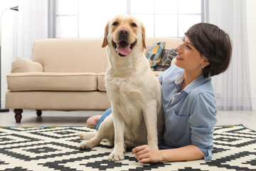 Adorable yellow labrador retriever with owner at home
