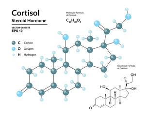Cortisol. Steroid Hormone. Structural Chemical Molecular Formula and 3d Model of Stress Hormone. Atoms are Represented as Spheres with Color Coding. Vector Illustration