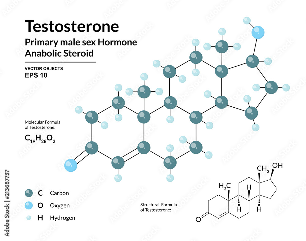 Wall mural Testosterone. Primary Male Sex Hormone. Structural Chemical Molecular Formula and 3d Model. Atoms are Represented as Spheres with Color Coding. Vector Illustration