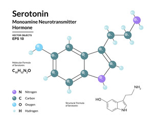 Serotonin. Hormone of Happiness. Monoamine Neurotransmitter. Structural Chemical Molecular Formula and 3d Model. Atoms are Represented as Spheres with Color Coding. Vector Illustration