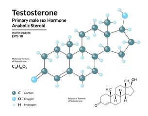 Testosterone. Primary Male Sex Hormone. Structural Chemical Molecular Formula and 3d Model. Atoms are Represented as Spheres with Color Coding. Vector Illustration
