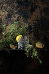 Gin , tonic with slices of lemon and a sprig of juniper .