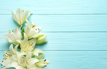 Flat lay composition with lily flowers on color background - obrazy, fototapety, plakaty