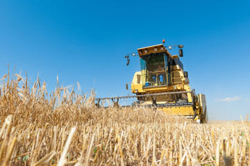 Harvester performing mowing tasks in the field.
