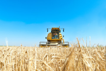 Obraz premium Harvester performing mowing tasks in the field.
