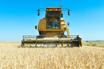 Obraz premium Harvester performing mowing tasks in the field.