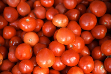 Pile of fresh ripe tomatoes as background, closeup