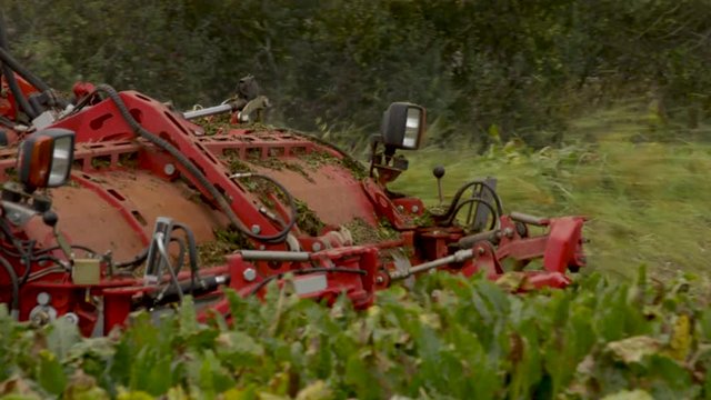 Cosechadora de remolacha