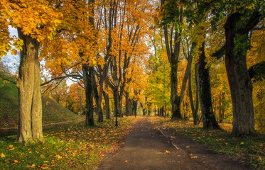 Landscape autumn in the park. A beautiful colorful autumn in an alley in a park with yellow and red leaves on trees and grass. Picturesque nature of October. Scenic fall.