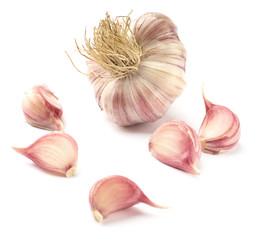Garlic