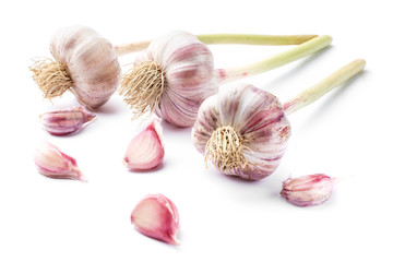 Whole garlic and separate clove of garlics on white