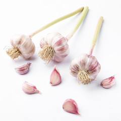 Garlic whole and cloves