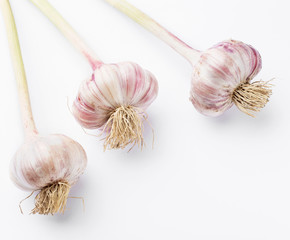 Whole garic on the white