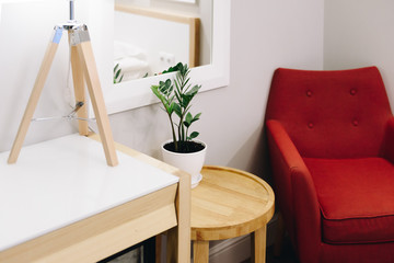 Plant as a decoration in interior design. Design of a living room or a hotel. Bright red armchair in the corner. ZZ plant or zamioculcas, low maintenance and easy to care for house plant