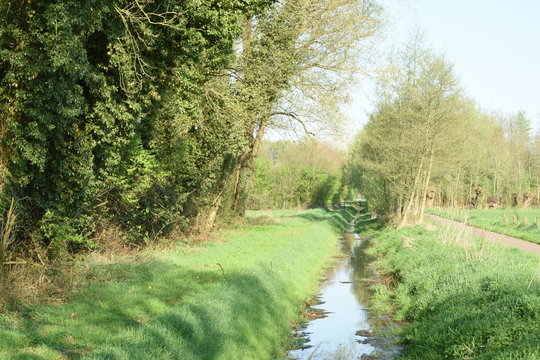 voorjaar op het Achterhoekse platteland met sloot en fietspad