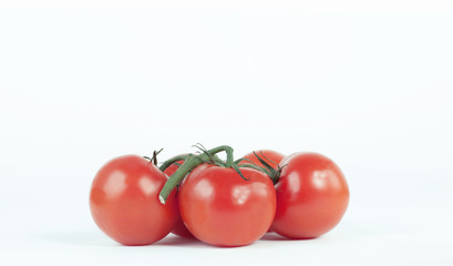 tomatoes on a branch .isolated white background