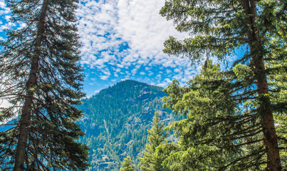 scenic mountain peak framed with lush trees in Hyalite Canyon near Bozeman, Montana under blue sky...