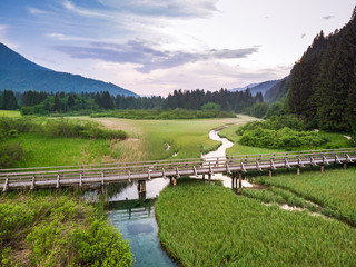 Fototapeta premium Wooden footpath or bridge over natural water reserve