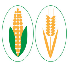 Wheat and corn. Elements for design. Icon set.